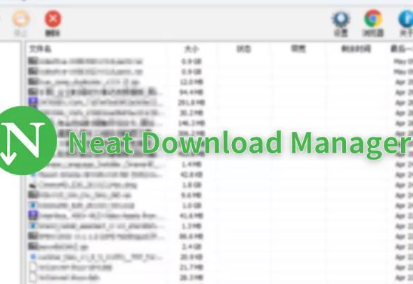 Neat Download Manager汉化版